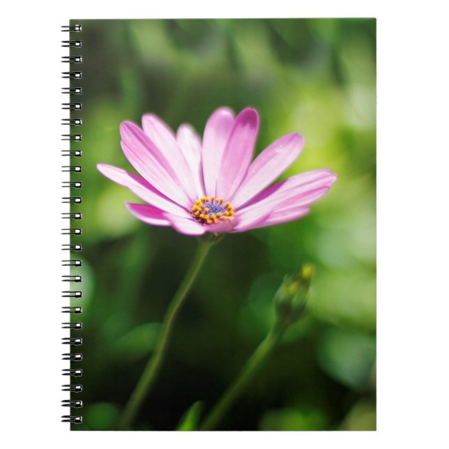 Cuaderno Daisy africano (Frente)