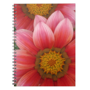 Cuaderno Daisy africano