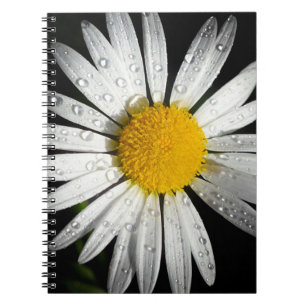 Cuaderno Daisy blanco