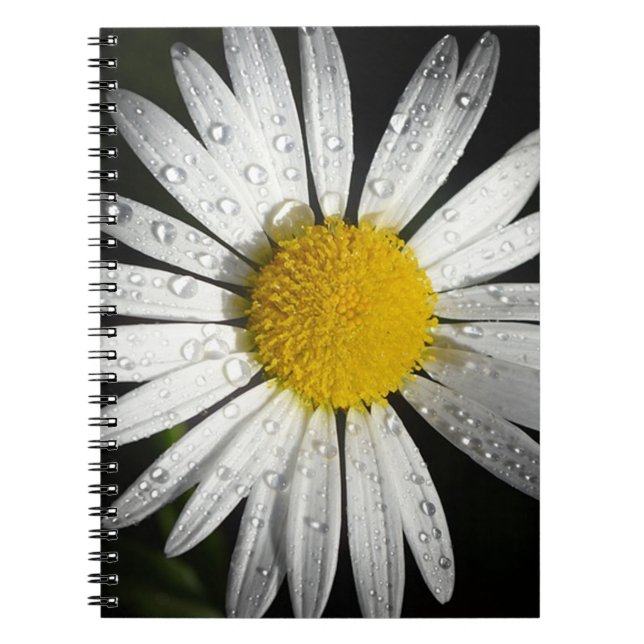 Cuaderno Daisy blanco (Frente)