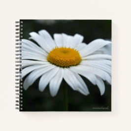 Cuaderno Daisy - Cara arriba