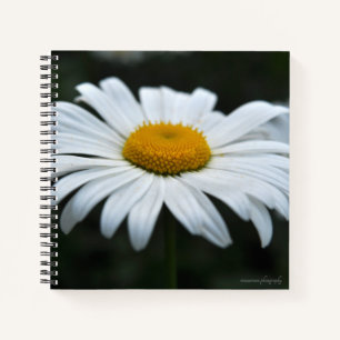 Cuaderno Daisy - Cara arriba