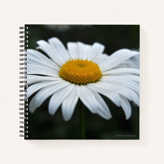 Cuaderno Daisy - Cara arriba (Anverso)