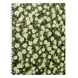 Cuaderno Daisy Field Spiral Notebook