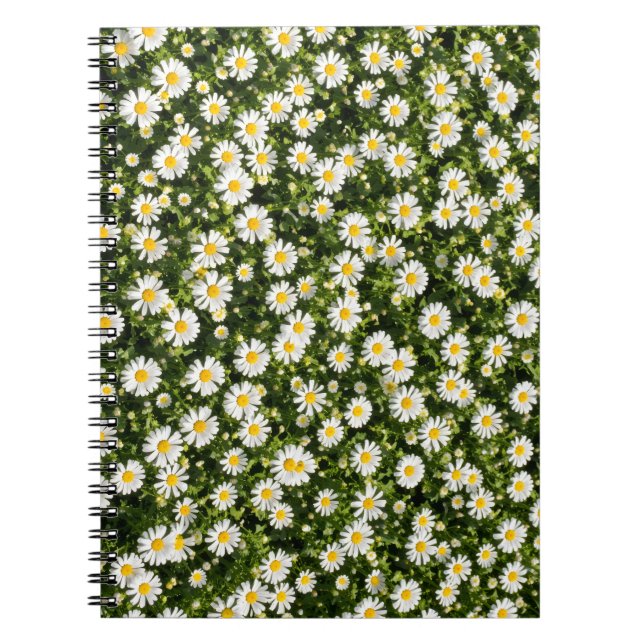 Cuaderno Daisy Field Spiral Notebook (Frente)