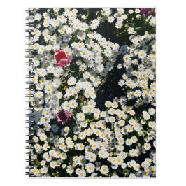 Cuaderno Daisy Field Spiral Notebook