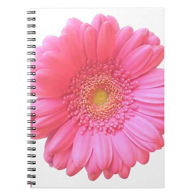 Cuaderno Daisy gerbera rosada (Frente)