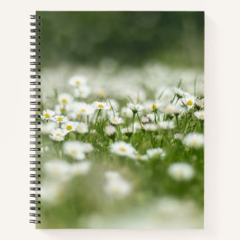 Cuaderno Daisy Meadow