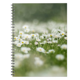 Cuaderno Daisy Meadow