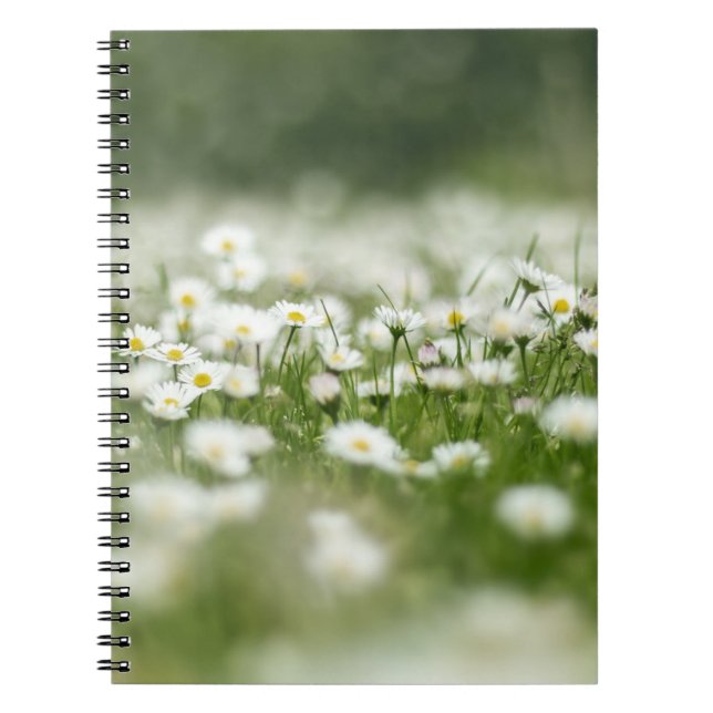 Cuaderno Daisy Meadow (Frente)