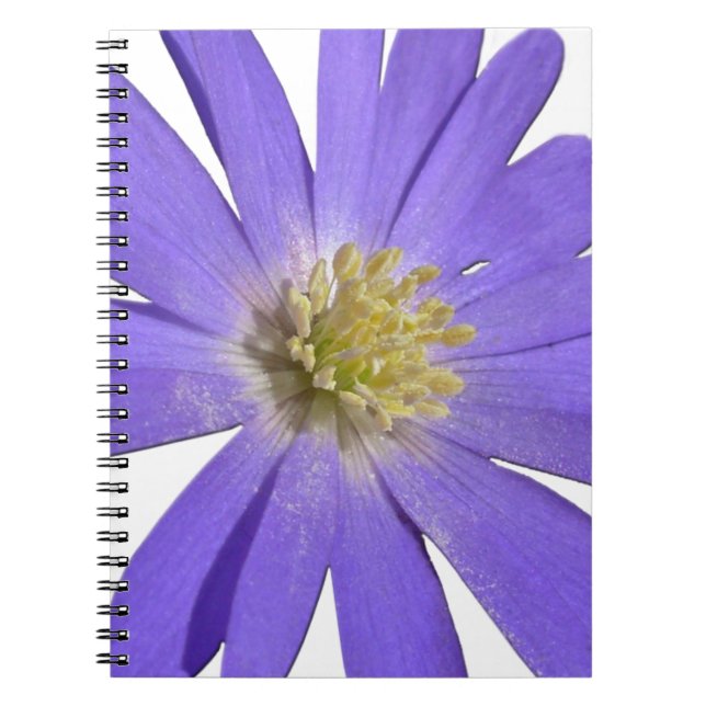 Cuaderno Daisy Notebook Blue Daisy Journals Regalos de flor (Frente)