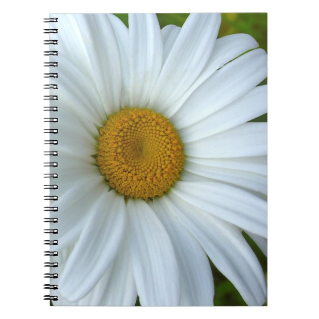 Cuaderno Daisy Notebook Classic Daisy Journals Flower Gifts (Frente)
