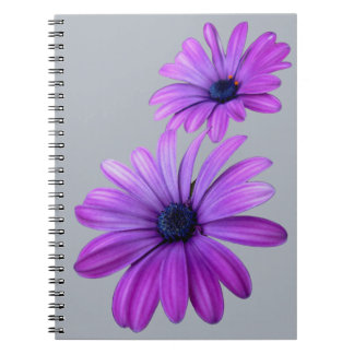 Cuaderno Daisy Notebook: Regalos de diarios de margarita mo