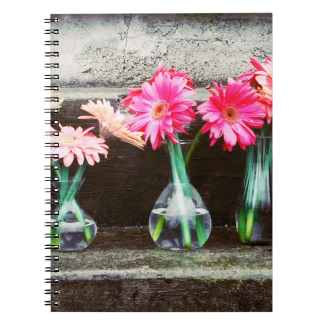 Cuaderno Daisy rosa caliente (Frente)