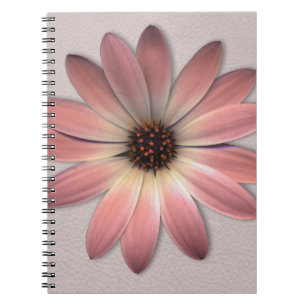 Cuaderno Daisy rosa - Fondo de imagen de textura de cuero d