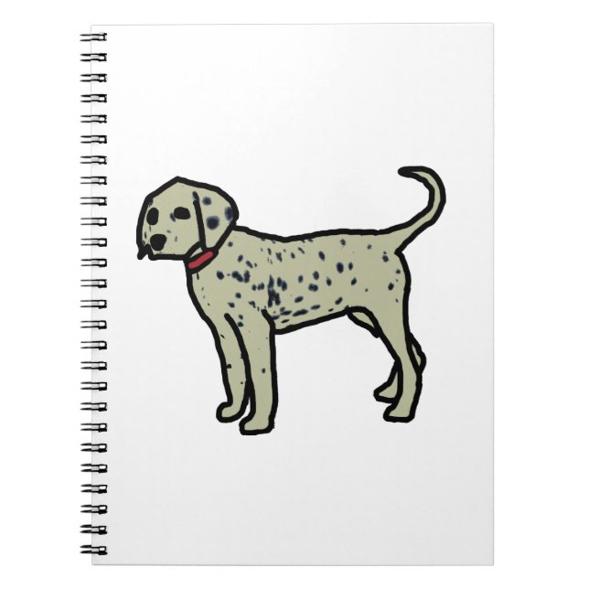Cuaderno Dalmatiano (Frente)