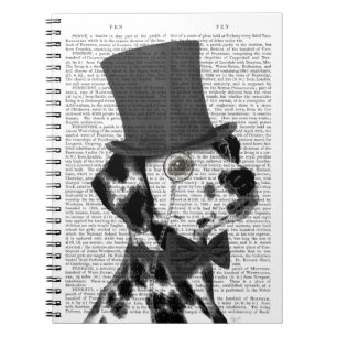 Cuaderno Dalmatiano, Gorra y hedor formal
