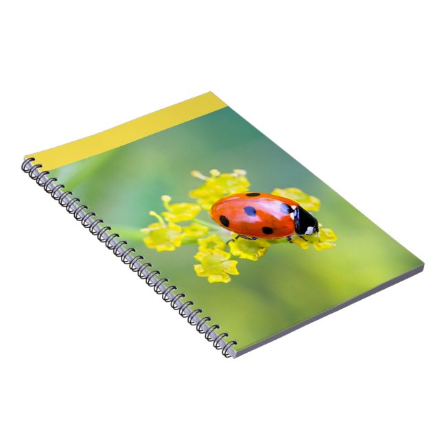 Cuaderno dama encima (Lado Derecho)