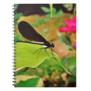 Cuaderno Damselfly y Rosa