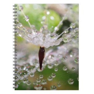 Cuaderno Dandelión abstracto delicado