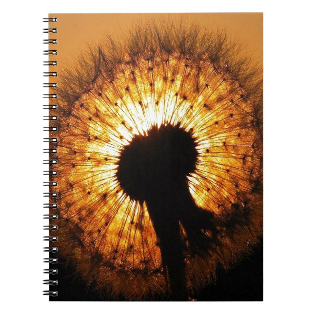 Cuaderno Dandelion al atardecer (Frente)