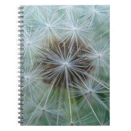 Cuaderno Dandelion blanco