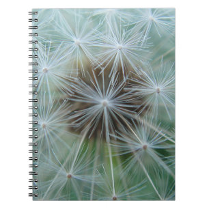 Cuaderno Dandelion blanco