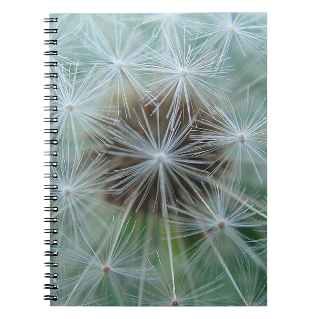 Cuaderno Dandelion blanco (Frente)