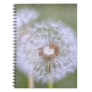 Cuaderno Dandelion Flowers