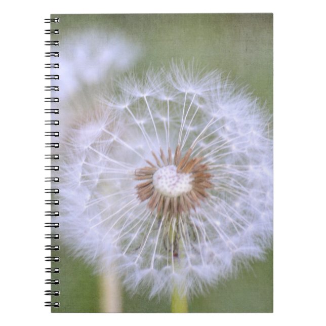 Cuaderno Dandelion Flowers (Frente)