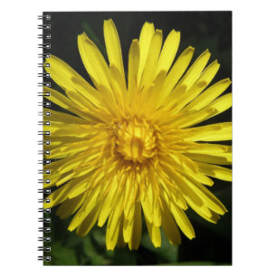 Cuaderno Dandelion Notebook