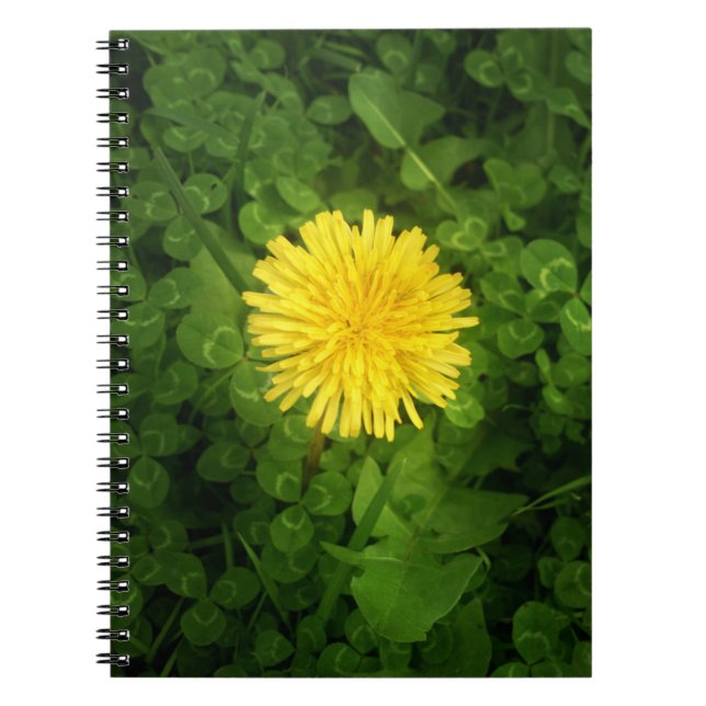 Cuaderno Dandelion Notebook (Frente)