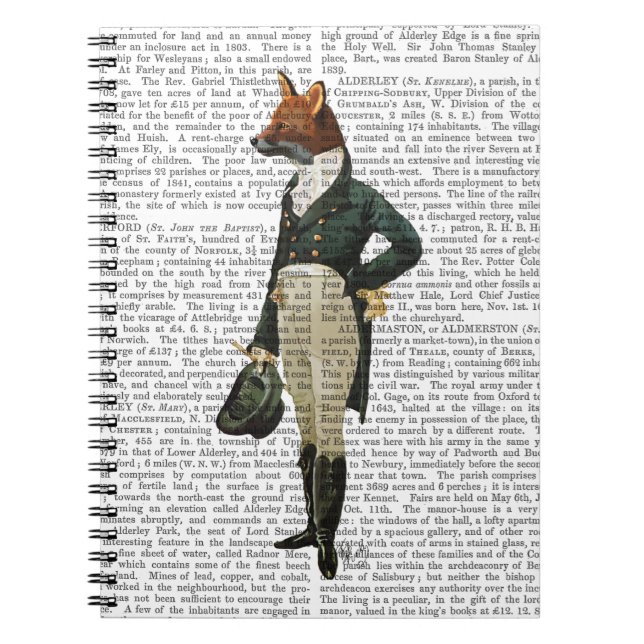 Cuaderno Dandy Fox Full 2 (Frente)
