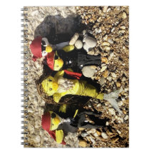 Danni la sirena y los piratas