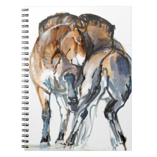 Cuaderno Danza del poder (Frente)