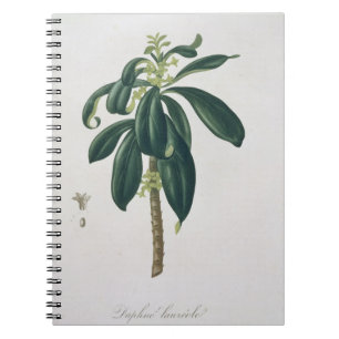 Cuaderno Daphne Laureda de "Phytographie Medicale" por Jos