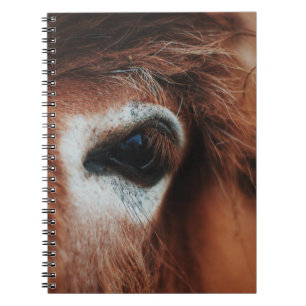 CUADERNO DARK HORSE EYE
