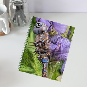 Cuaderno Darner Dragonfly de ojos azules sobre la flor