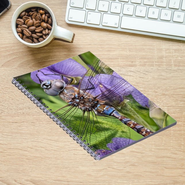 Cuaderno Darner Dragonfly de ojos azules sobre la flor (In Situ)