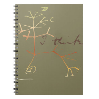 Cuaderno Darwin, pienso el árbol en vida