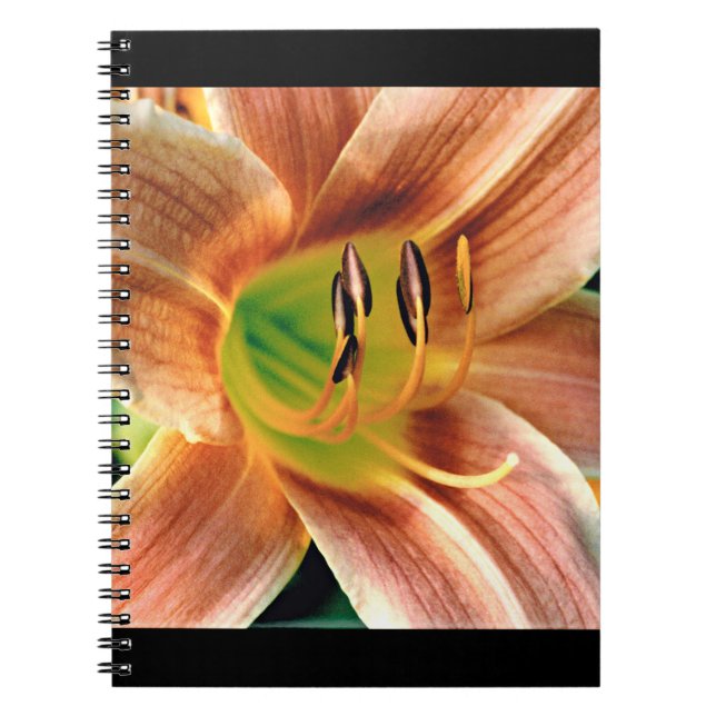 Cuaderno Daylily Macro (Frente)