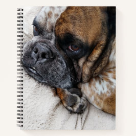 Cuaderno de 8x11 con foto de triste bulldog victor