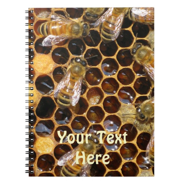 Cuaderno de abejas y abejas (Frente)