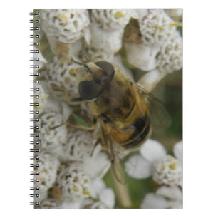 Cuaderno de abejas y flores