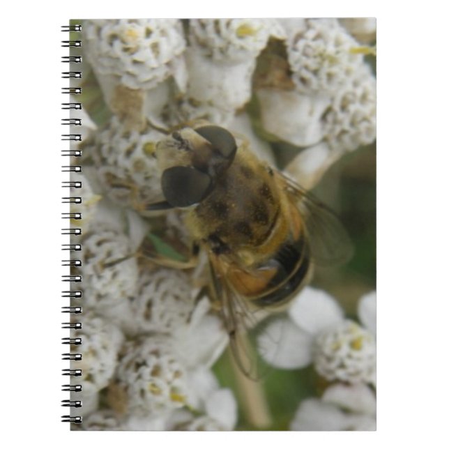 Cuaderno de abejas y flores (Frente)