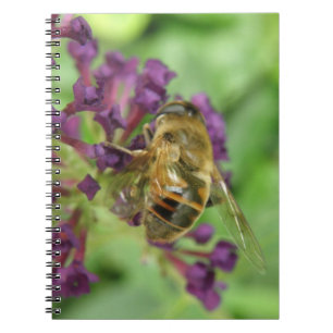 Cuaderno de abejas y flores moradas
