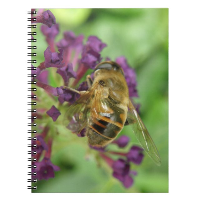 Cuaderno de abejas y flores moradas (Frente)
