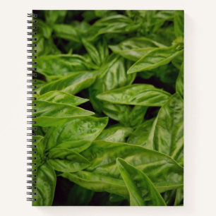 Cuaderno de Albahaca