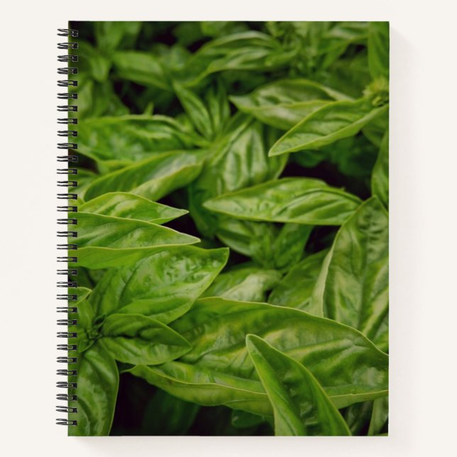 Cuaderno de Albahaca (Anverso)