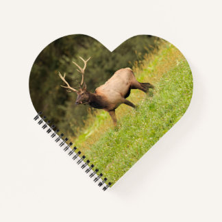 Cuaderno de alce